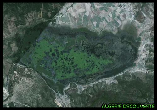 satellite-algerian-el-kala.jpg