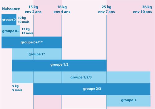 graph sieges auto 2010