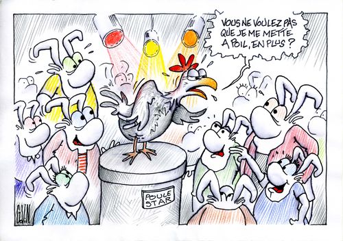 poule-star