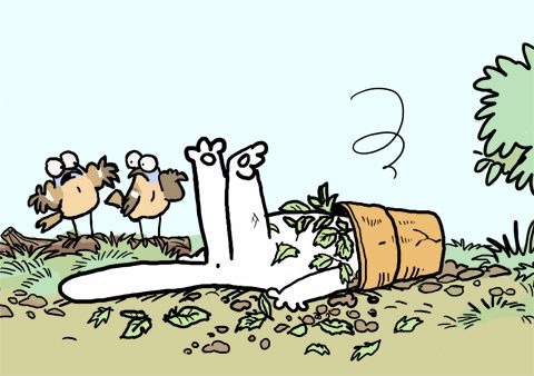 Catmint-cat-reduced-copy.jpg