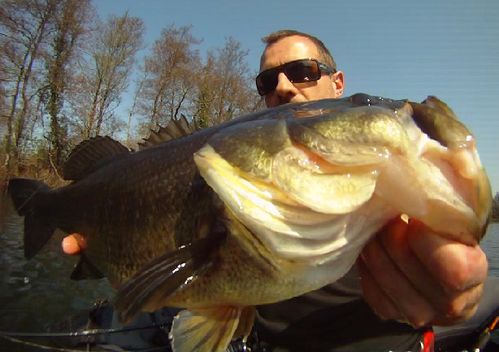 last-bass2.jpg