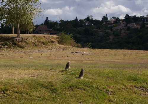 IMGP7145