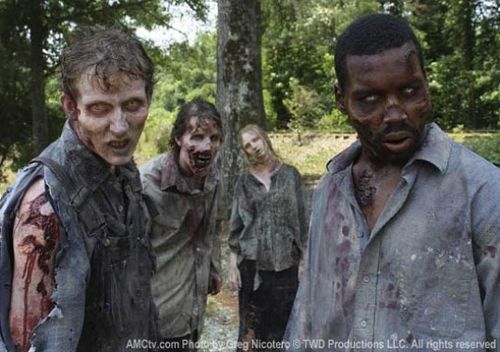 Walking-Dead-saison-2-image-9_diaporama.jpg