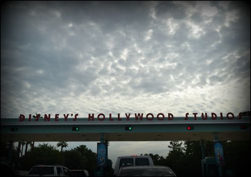 Disney-07-2014.jpg