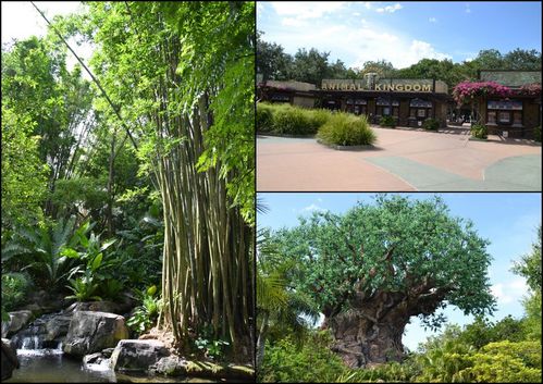 Disney-07-20145.jpg