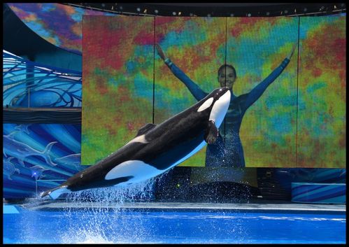 Seaworld.jpg
