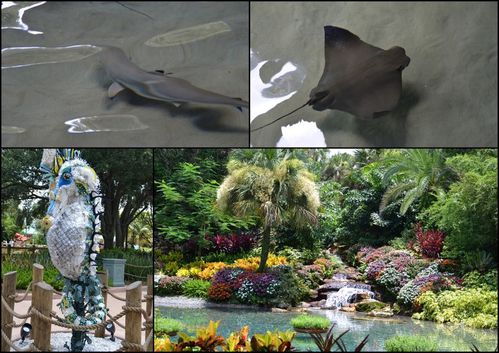 Seaworld6.jpg