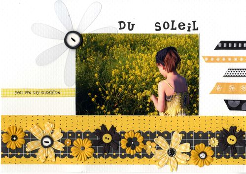 Fleurs du soleil 2