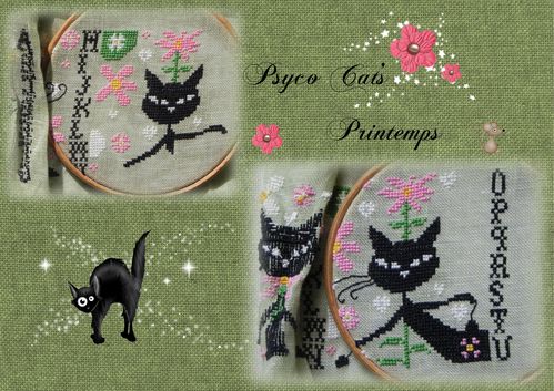 psyco-cats-28.05-2.jpg