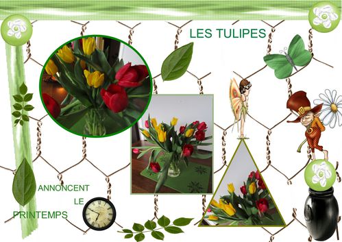 TULIPES