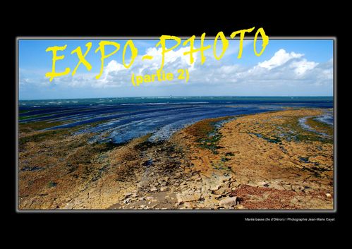 Maree-basse--Ile-d-Oleron-.jpg