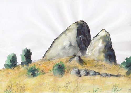 aubrac-7.jpg