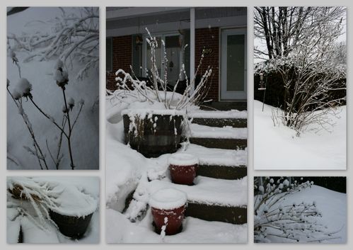 20100224Neige.jpg