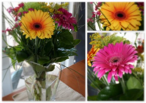 20100315Fleurs-du-lundi.jpg