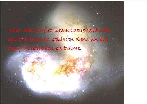 citation amour yin yang