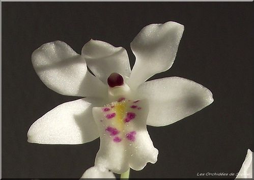 DSCF0570