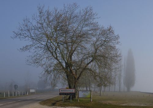Bardouville Entrée beaulieu brouillard léger