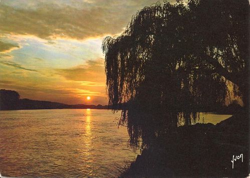 Cartes postales La Loire au crépuscule
