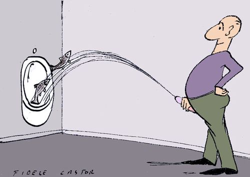 SALLE-MON-IDEE--.jpg