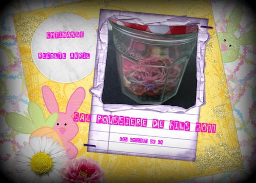 SAL-poussiere-de-fils-avril-2011.jpg
