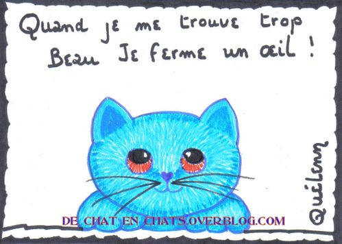 DESSIN HUMOUR, chat, humour, chat drole DESSIN CHAT TROP BEAU