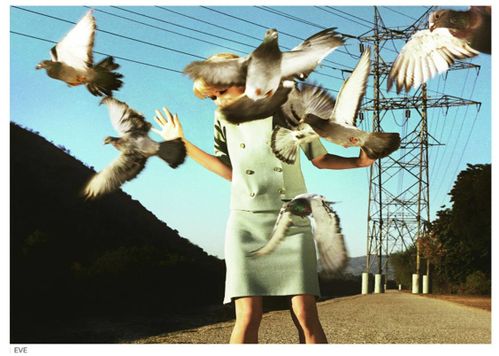 Fashion Ballyhoo -Alex Prager book années 60 style mad men