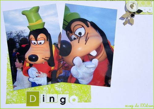 30 juin dingo
