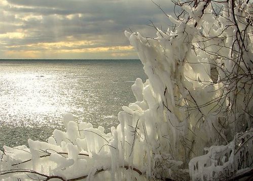 paysage-hiver-112