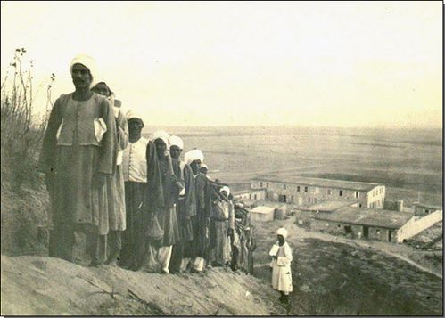 Mégiddo - Fouilles de l'Institut de Chicago Megiddo---Fouilles-de-Chicago.jpg