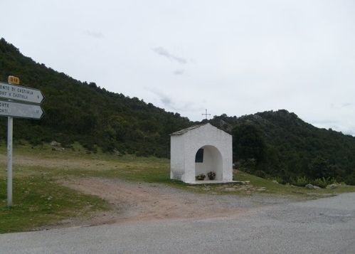 col.jpg