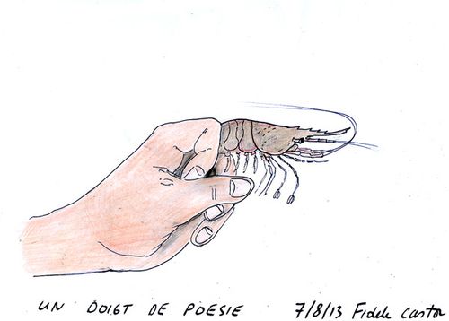 UN-DOIGT-DE-POESIE.jpg