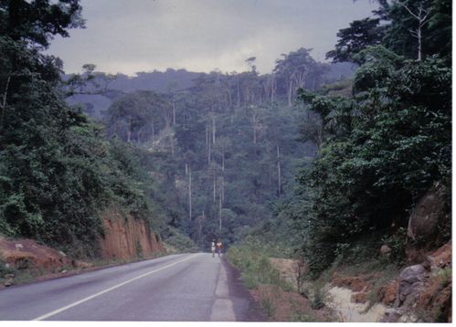 route de macenta
