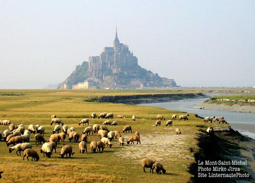 Photo-Blog.jpg