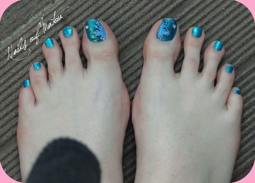DSC01449