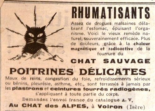 Chat-sauvage0.JPG