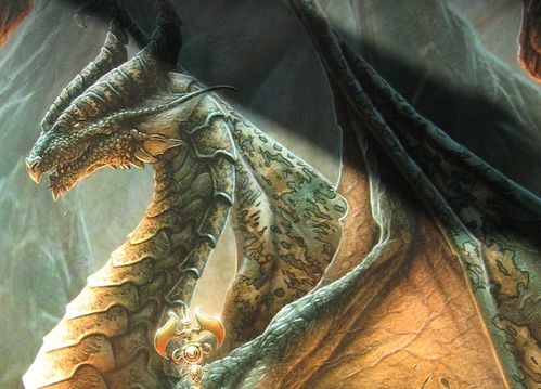 areines-et-dragons-detail.JPG