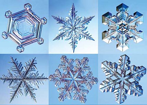 Sept types de flocons de neige - Photos Futura