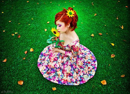 sun_flower_by_fairytaleheart22-d4mutis.jpg