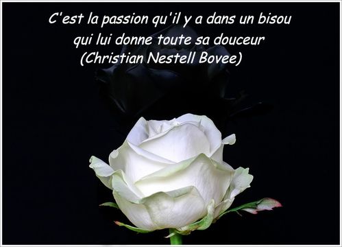 Pensee-passion.jpg