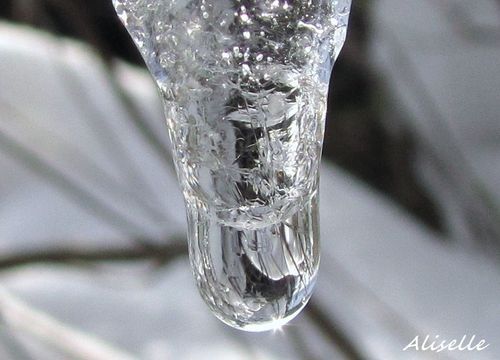 Goutte-glacee-2010---13.jpg