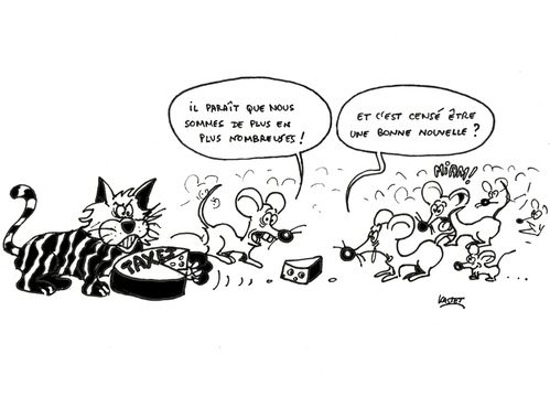 souris.jpg