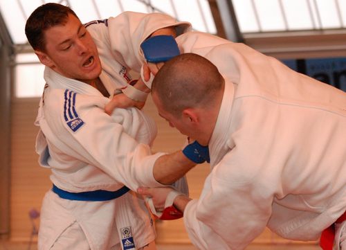 open jujitsu Nantes 2010 (57)