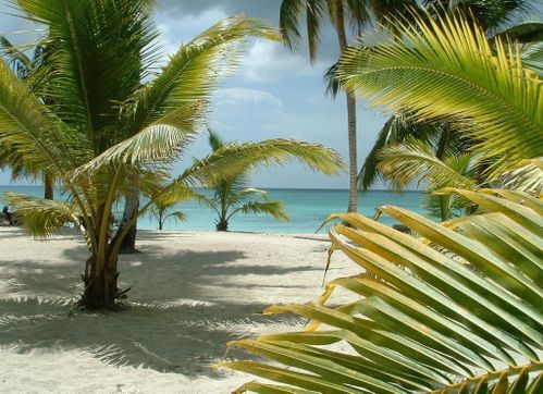R.D. Saona 1