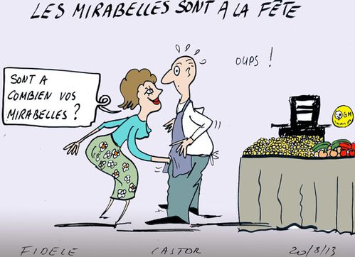 LES-MIRABELLES-SONT-A-LA-FE.jpg