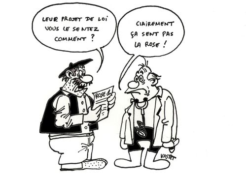 rose1-copie-1.jpg