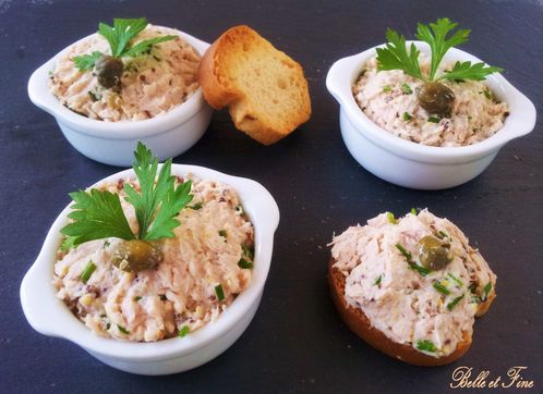 Rillettes-allegees-de-thon.jpg