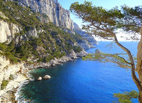 sugiton-cassis.JPG