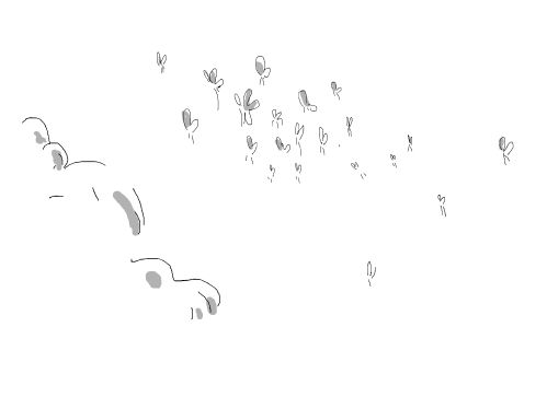 dessins043.jpg