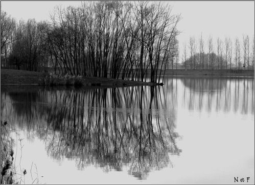 reflet-noir-et-blanc.jpg