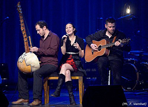 Amelie musiciens